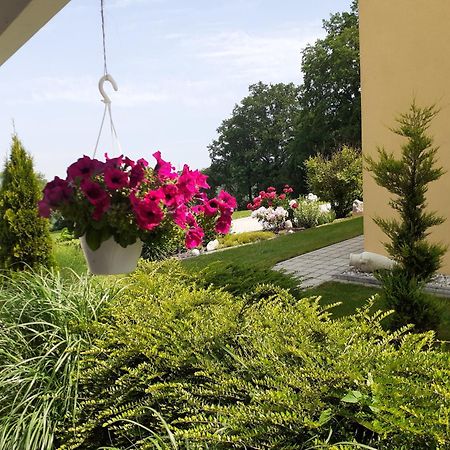 Villa Casa Sol-Rural Residence Near Linz Katsdorf المظهر الخارجي الصورة
