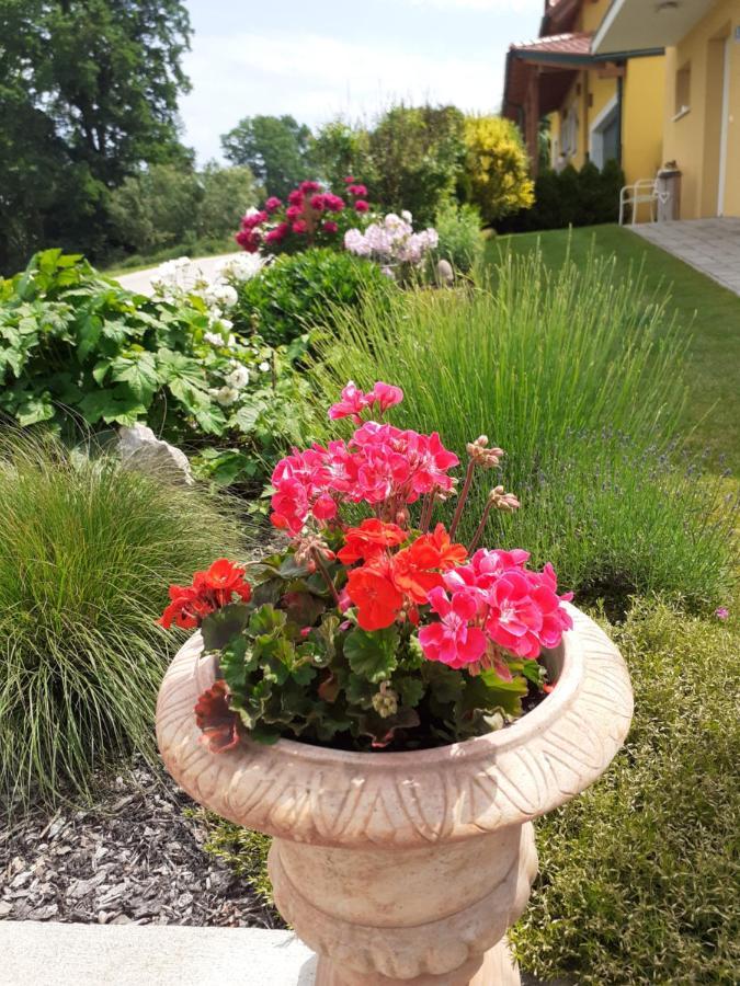 Villa Casa Sol-Rural Residence Near Linz Katsdorf المظهر الخارجي الصورة