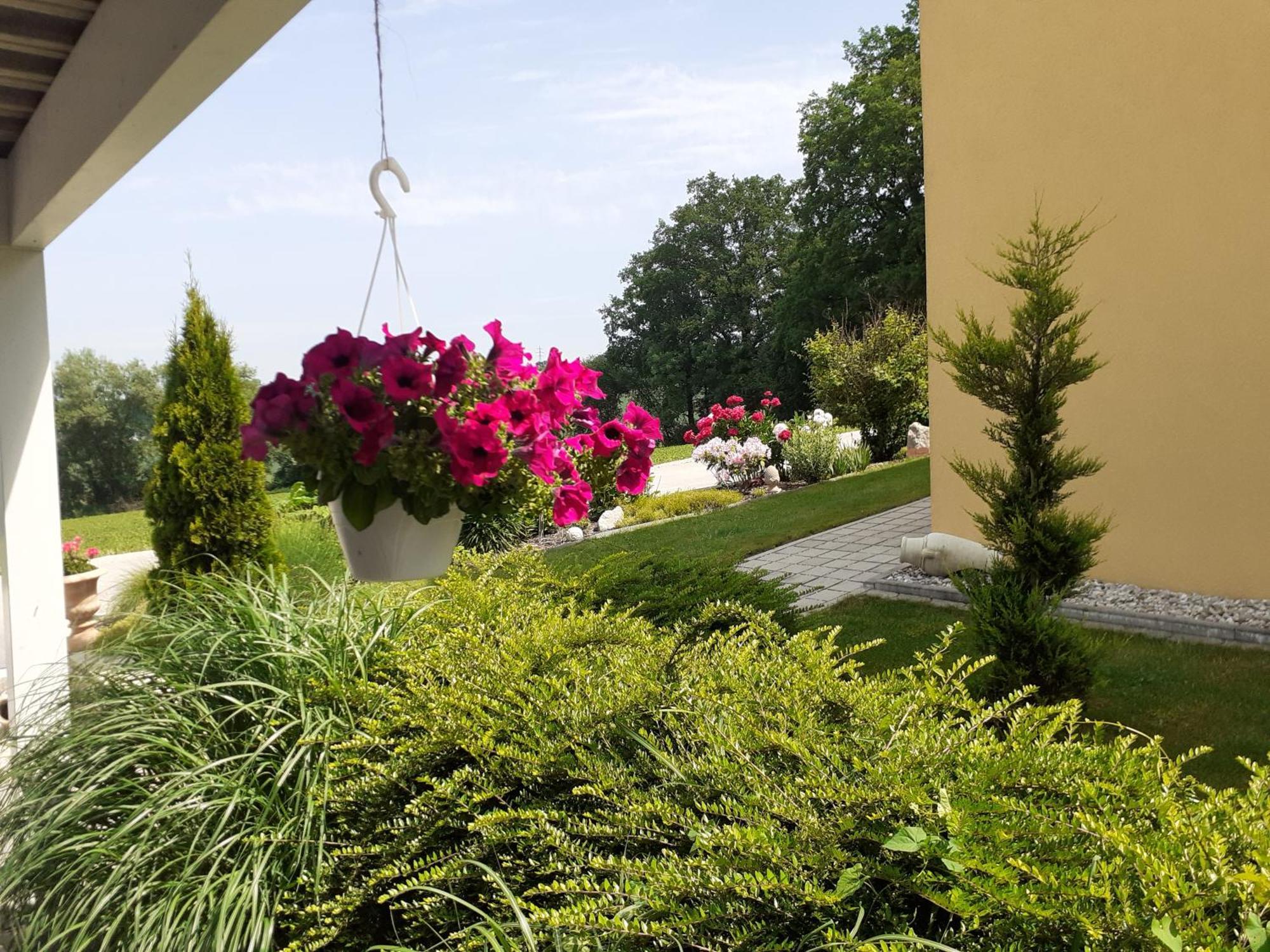 Villa Casa Sol-Rural Residence Near Linz Katsdorf المظهر الخارجي الصورة